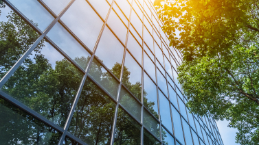 会社概要・沿革